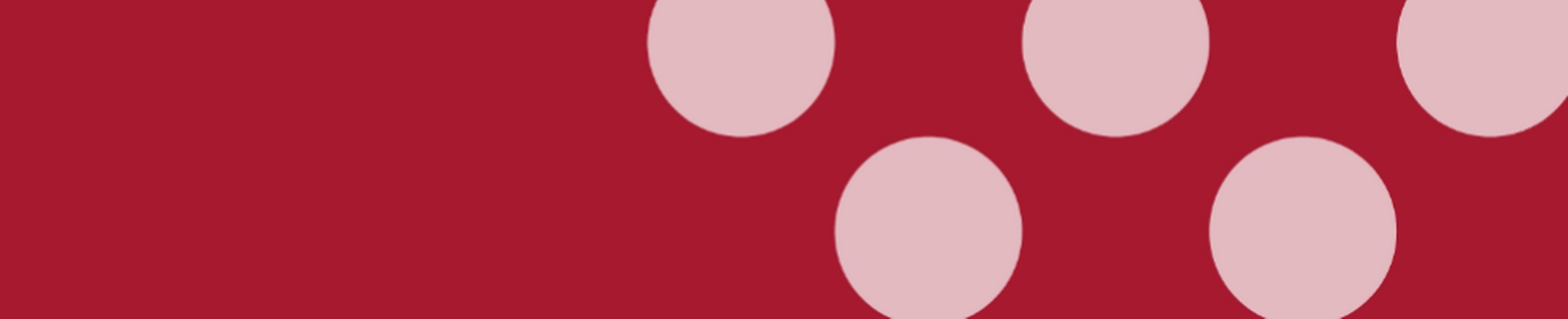 Company banner showing Visual Corporation branding