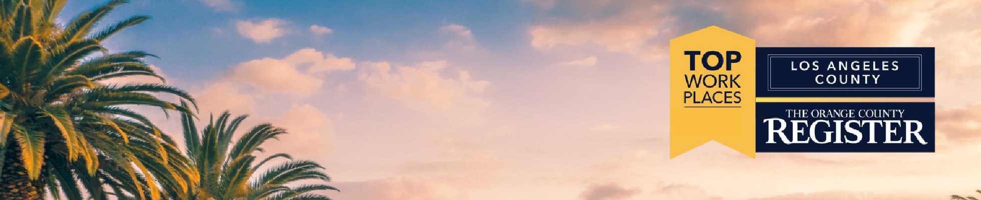 Company banner showing Visual Corporation branding