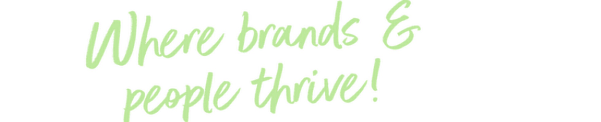 Company banner showing Visual Corporation branding