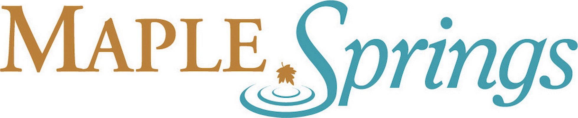 Company banner showing Visual Corporation branding