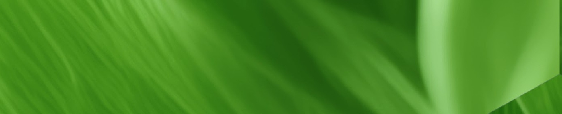 Company banner showing Visual Corporation branding