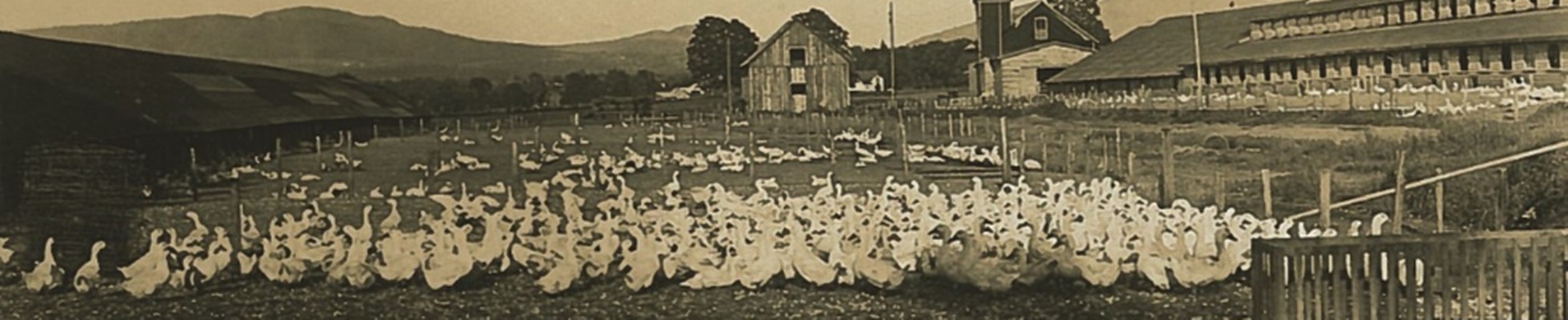 Company banner showing Visual Corporation branding