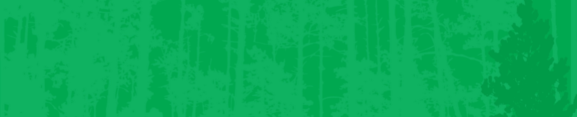 Company banner showing Visual Corporation branding