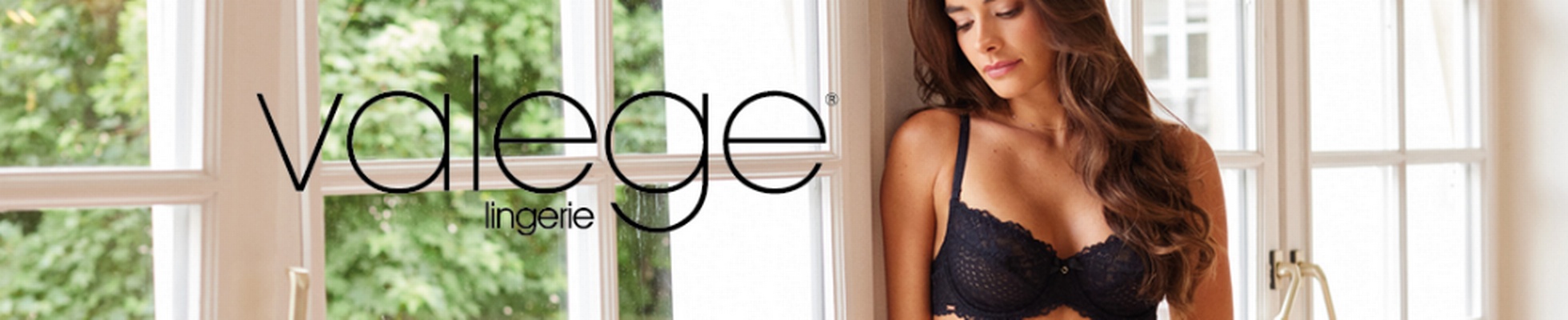VALEGE logo