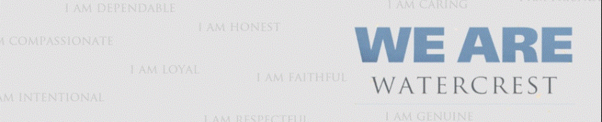 Company banner showing Visual Corporation branding
