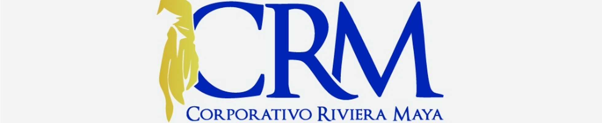 Company banner showing Visual Corporation branding
