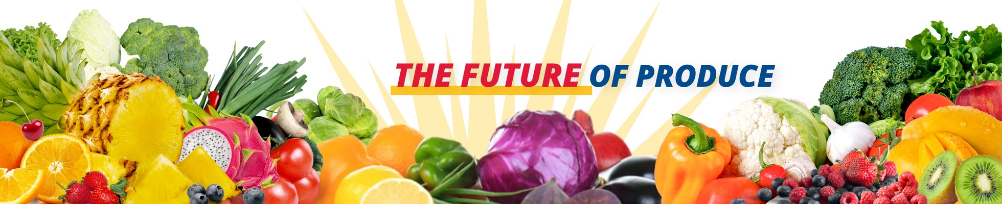 Company banner showing Visual Corporation branding