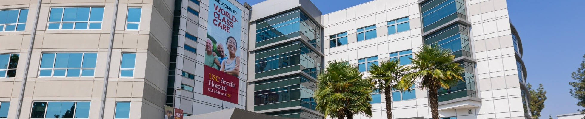 Company banner showing Visual Corporation branding
