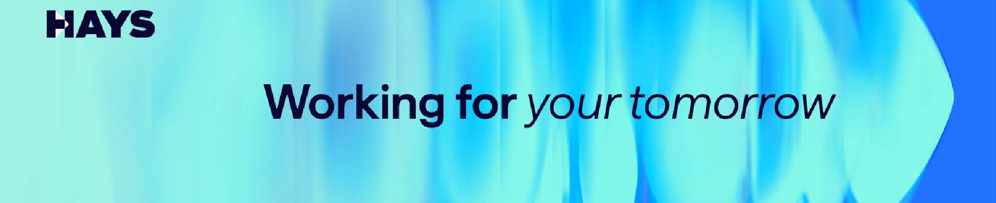 Company banner showing Visual Corporation branding