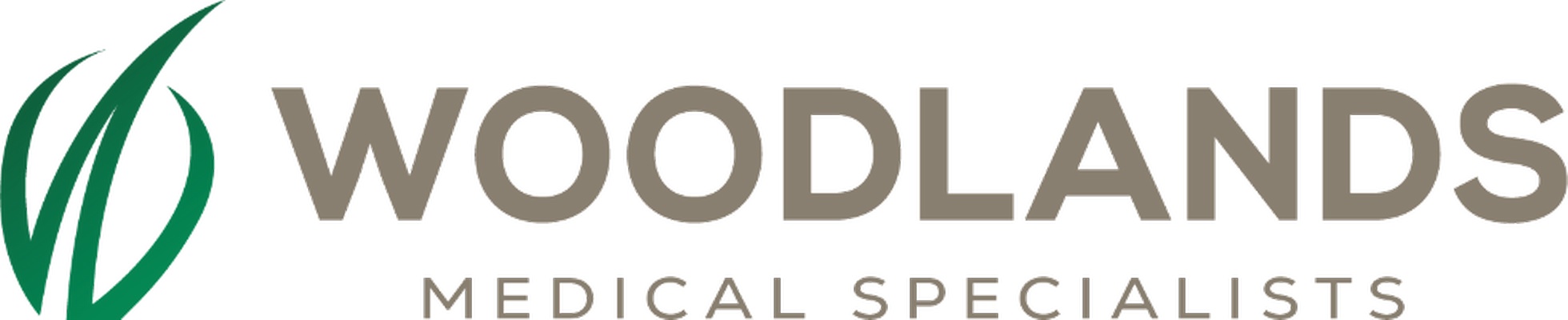 Company banner showing Visual Corporation branding
