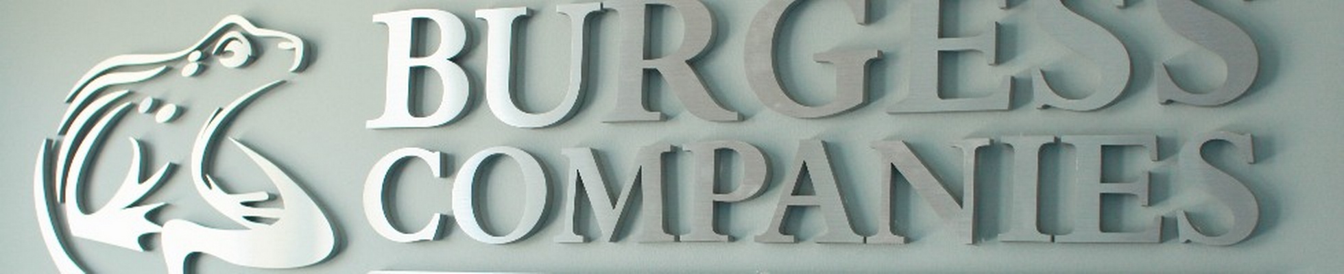 Company banner showing Visual Corporation branding