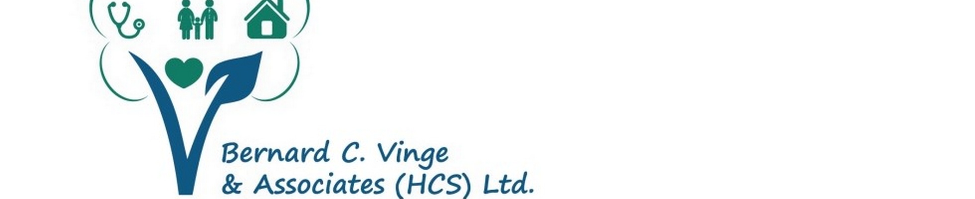 Company banner showing Visual Corporation branding