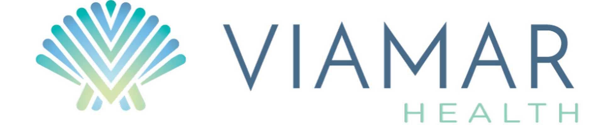Company banner showing Visual Corporation branding