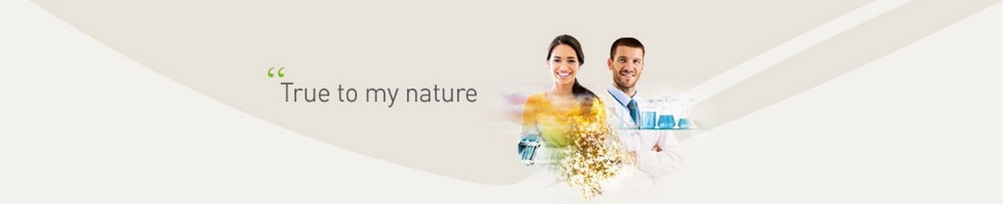 Company banner showing Visual Corporation branding