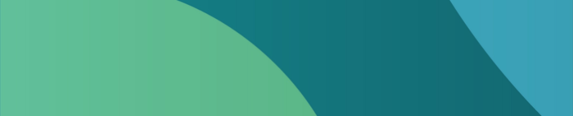 Company banner showing Visual Corporation branding