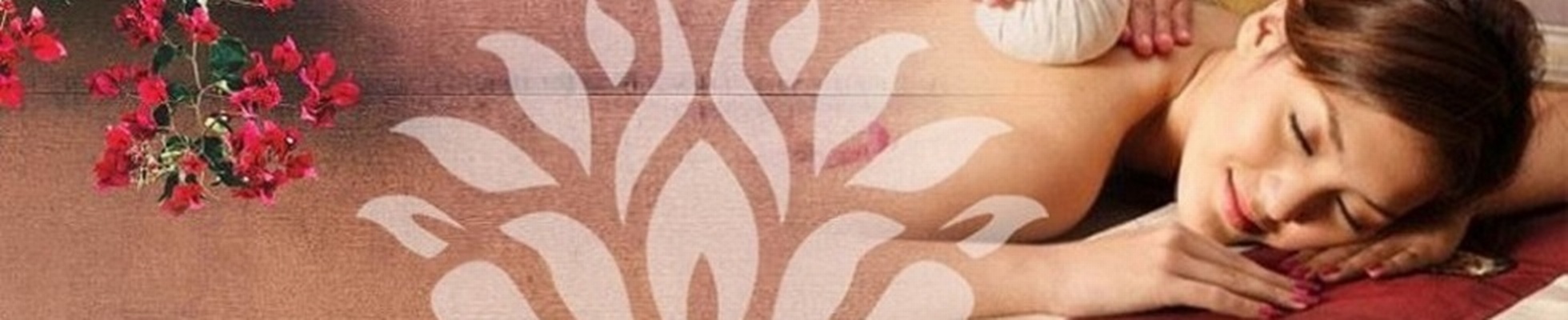 Company banner showing Visual Corporation branding