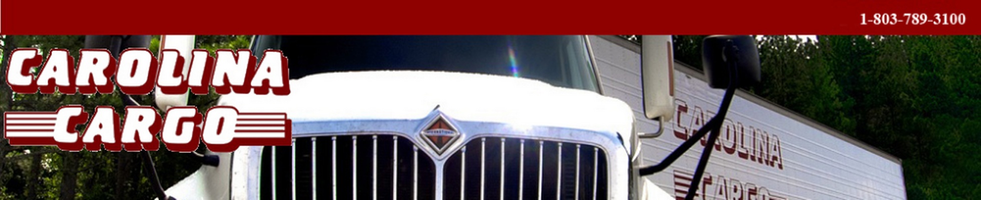 Company banner showing Visual Corporation branding