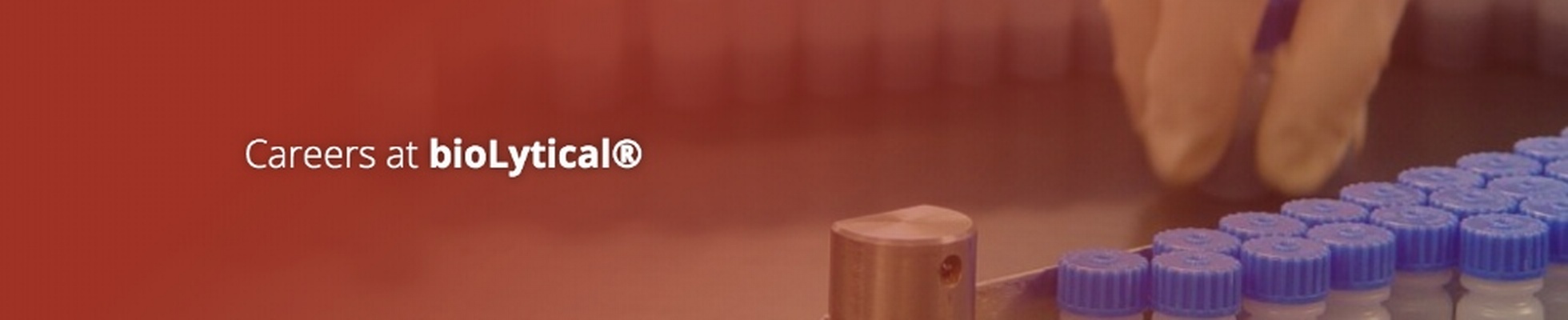 Company banner showing Visual Corporation branding