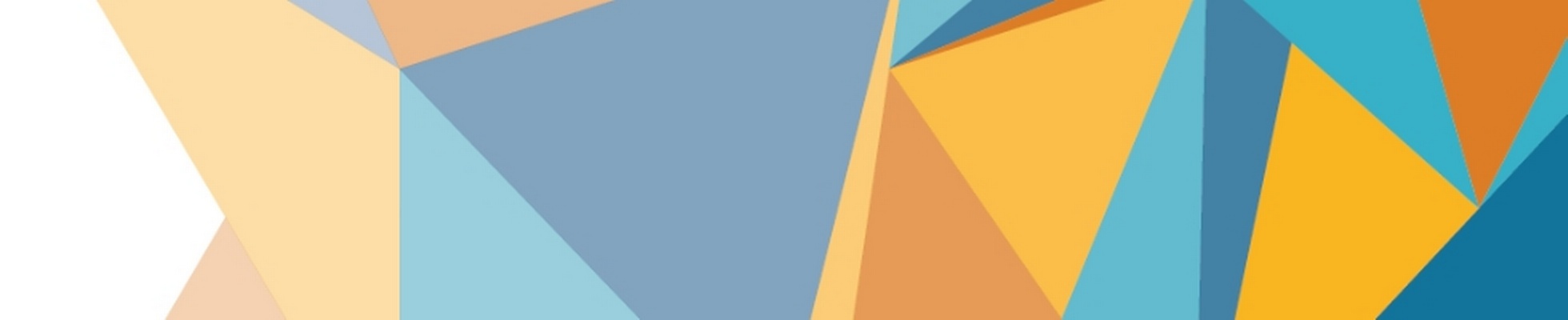 Company banner showing Visual Corporation branding