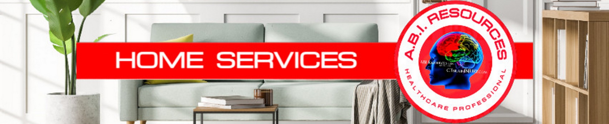 Company banner showing Visual Corporation branding