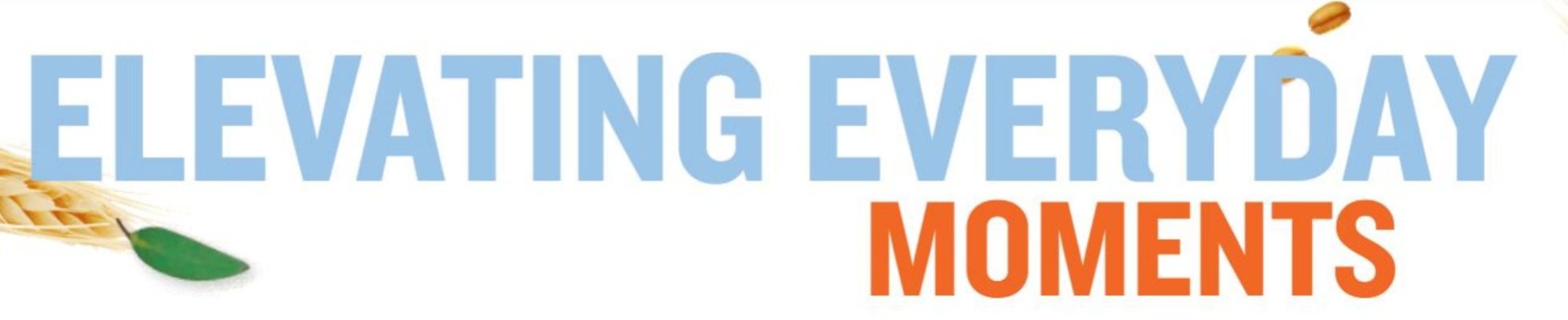 Company banner showing Visual Corporation branding