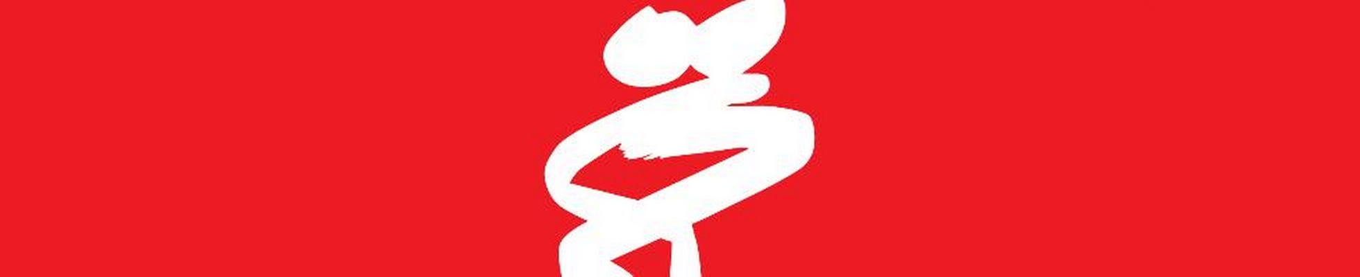 Company banner showing Visual Corporation branding
