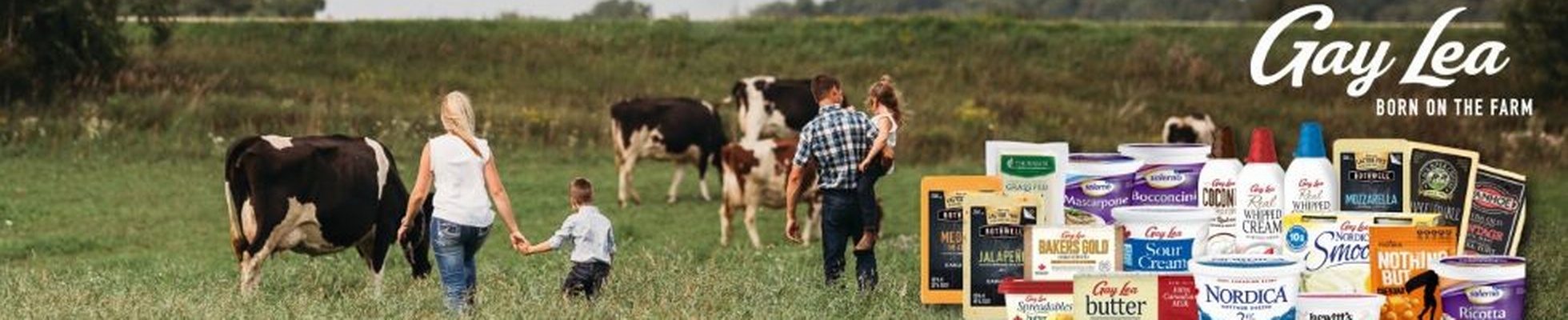 Company banner showing Visual Corporation branding