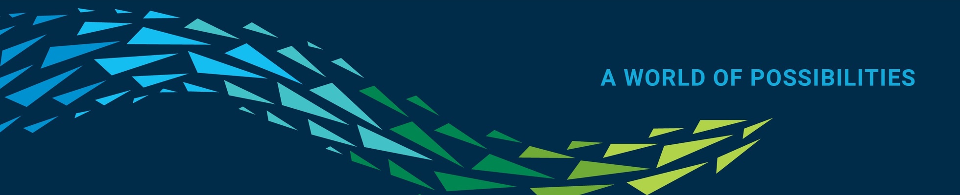 Company banner showing Visual Corporation branding