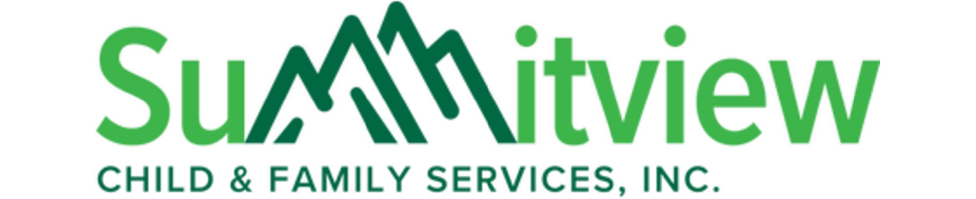 Company banner showing Visual Corporation branding