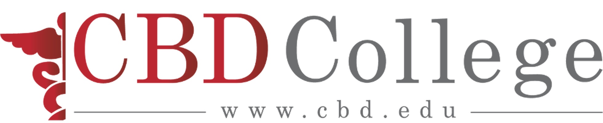 Company banner showing Visual Corporation branding