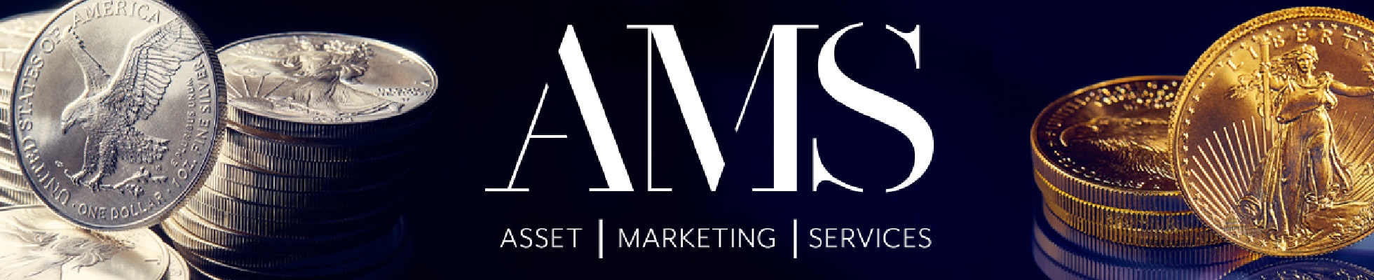 Company banner showing Visual Corporation branding