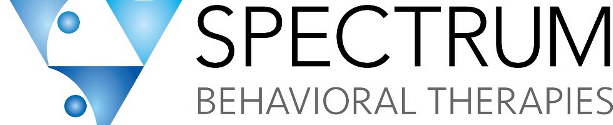 Company banner showing Visual Corporation branding