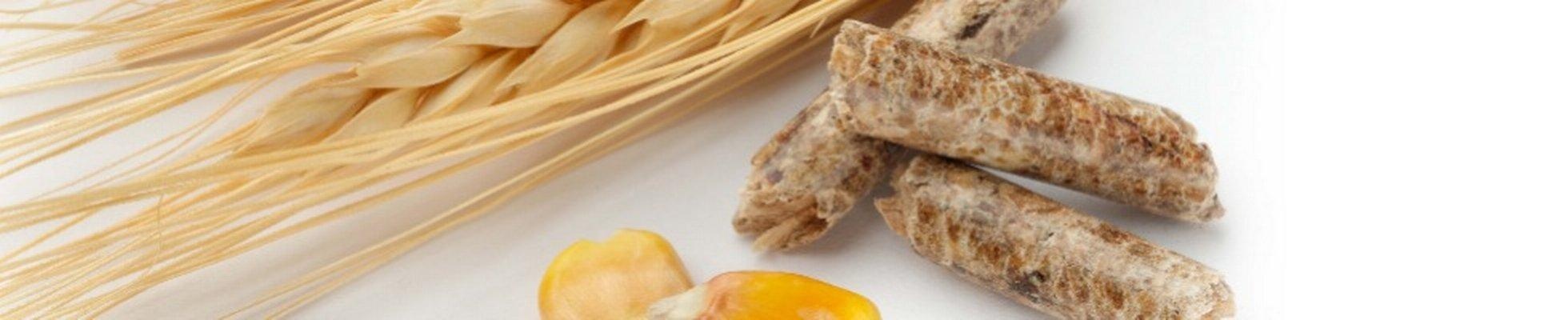 Primal Egg Grow A Gard Jobs Employment - C1a994c150c5a51bb8f22dacd91147d9