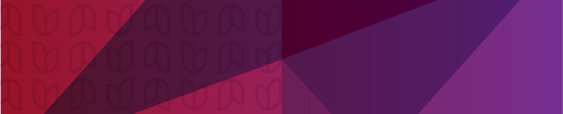 Company banner showing Visual Corporation branding