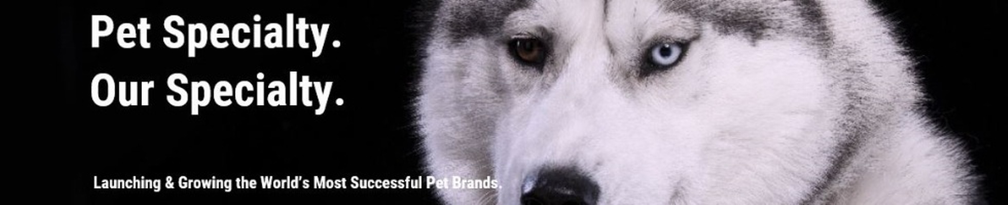 Company banner showing Visual Corporation branding
