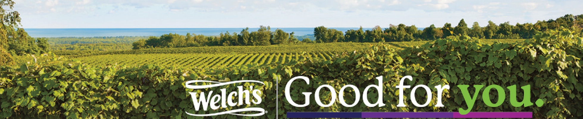 Company banner showing Visual Corporation branding