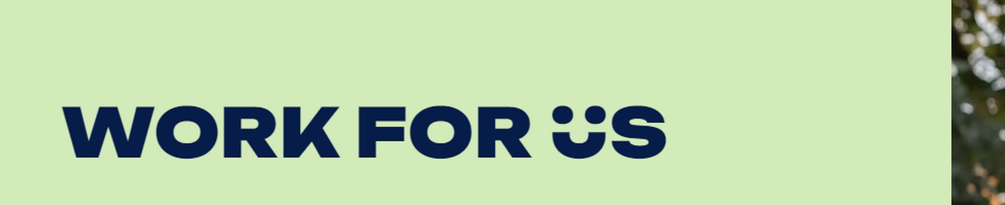 Company banner showing Visual Corporation branding