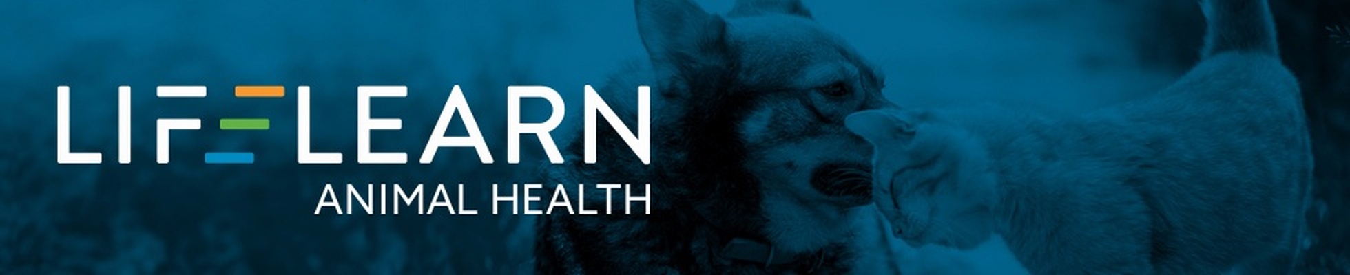 Company banner showing Visual Corporation branding