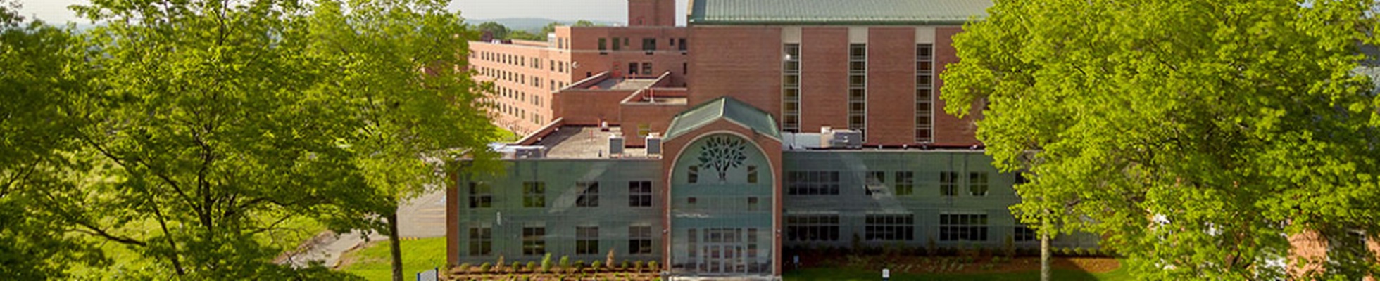 Company banner showing Visual Corporation branding