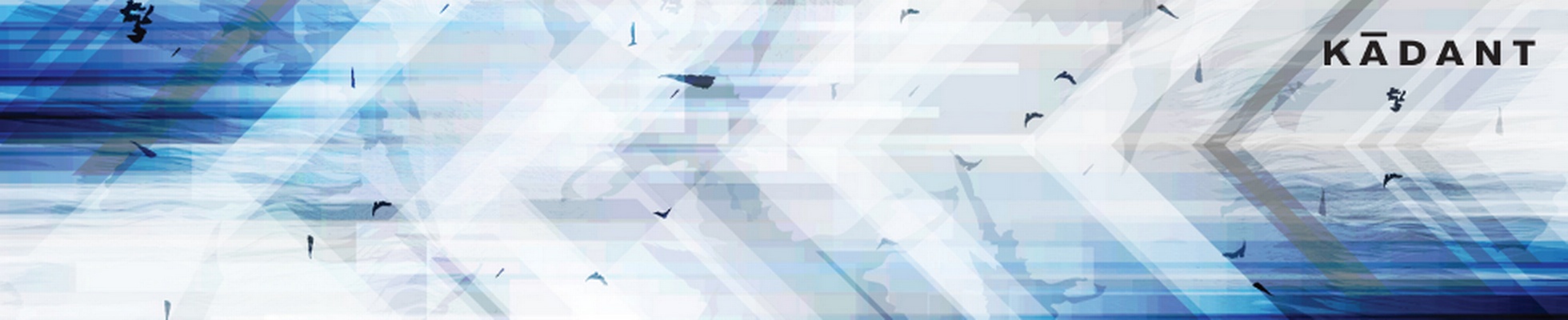 Company banner showing Visual Corporation branding