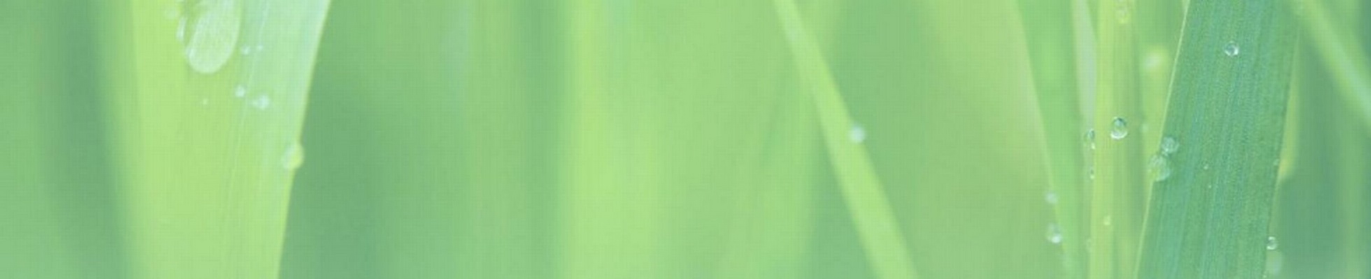 Company banner showing Visual Corporation branding