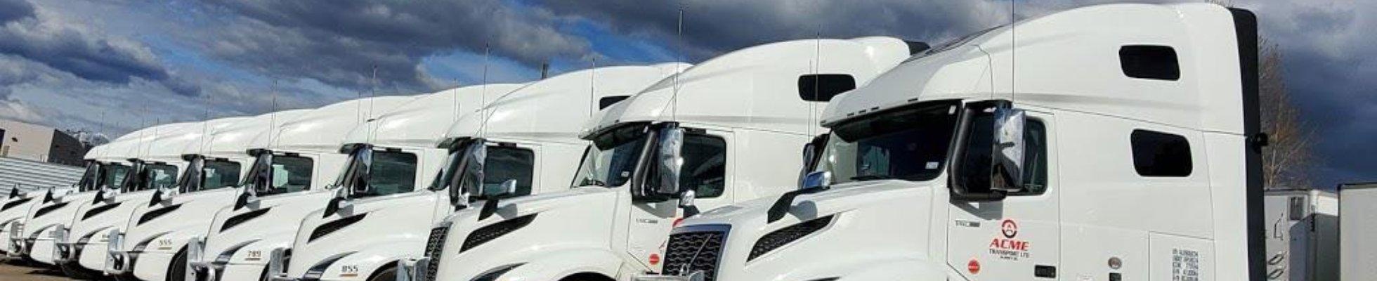 Acme Transport Ltd. logo
