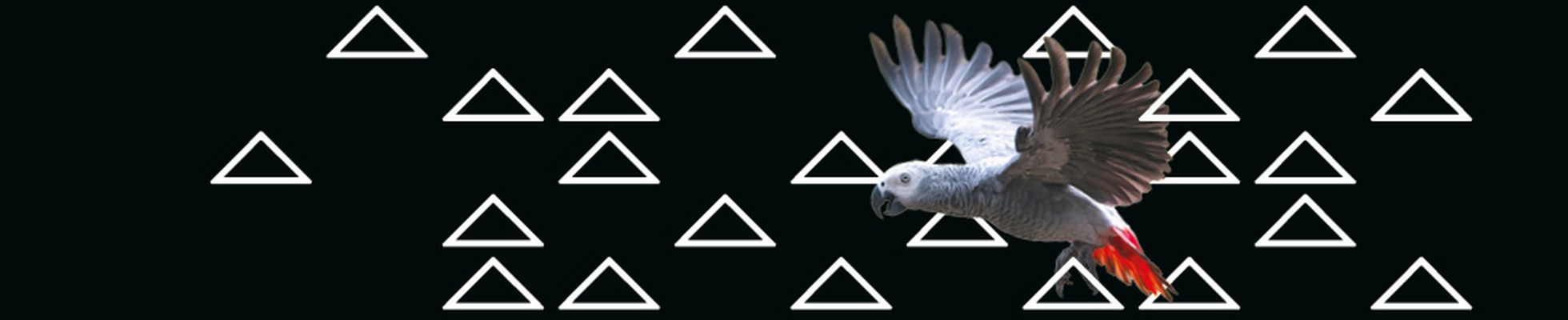 Company banner showing Visual Corporation branding