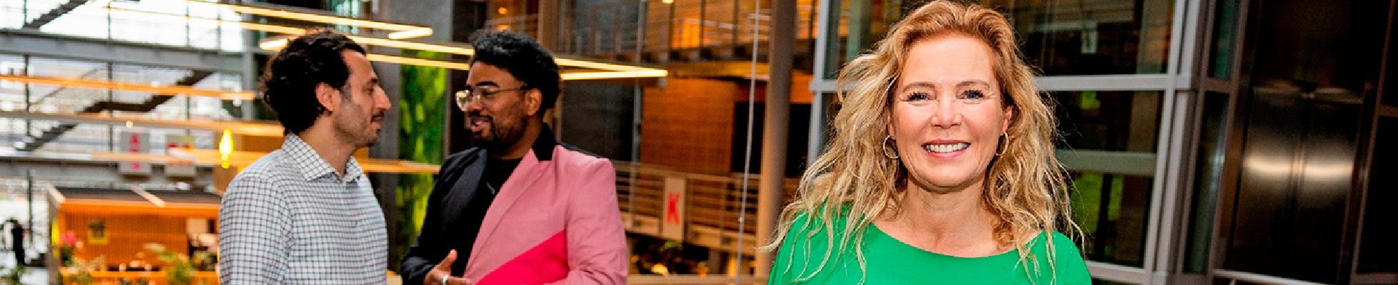 Hogeschool Inholland logo