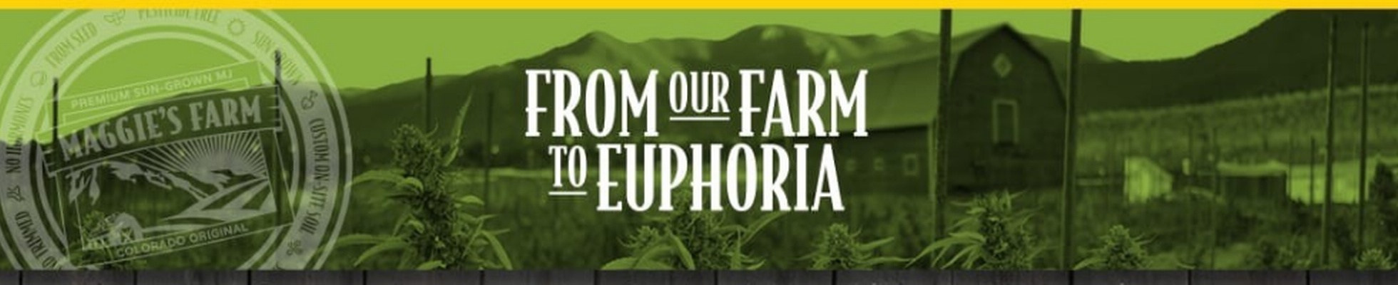 Company banner showing Visual Corporation branding