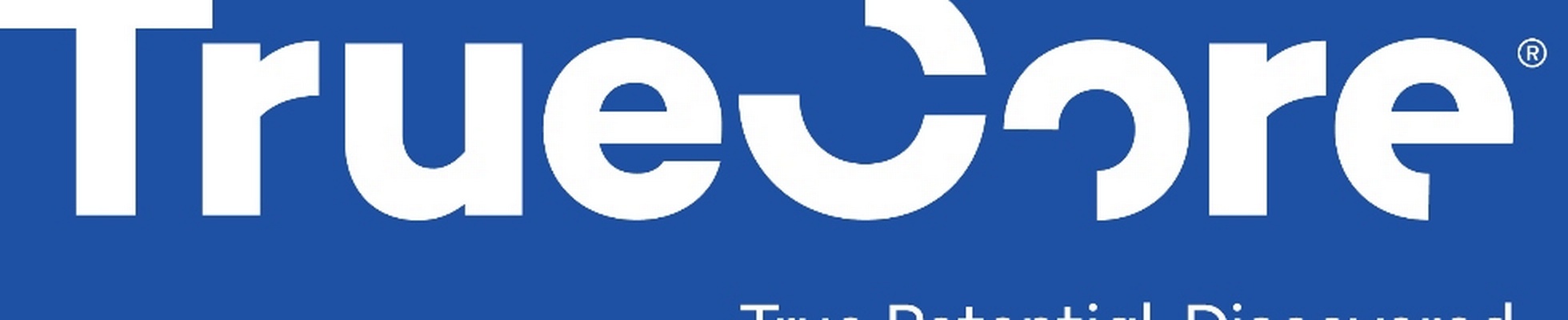 Company banner showing Visual Corporation branding