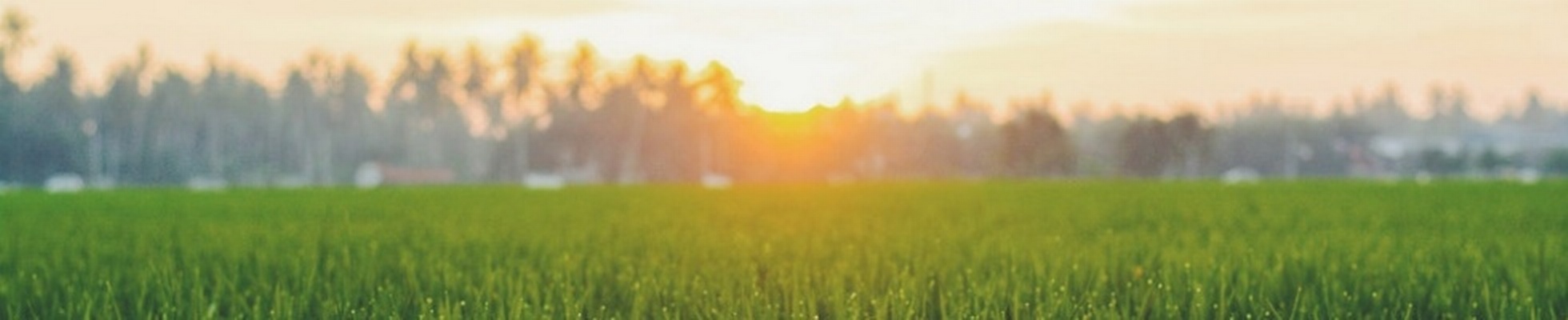 Garage Hand Yard Tools Jobs Employment - C6ab3d866d661ca4ba35b39cfa661790