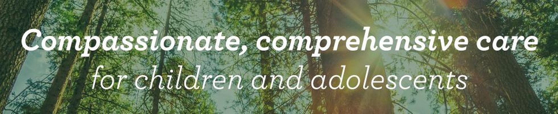 Company banner showing Visual Corporation branding