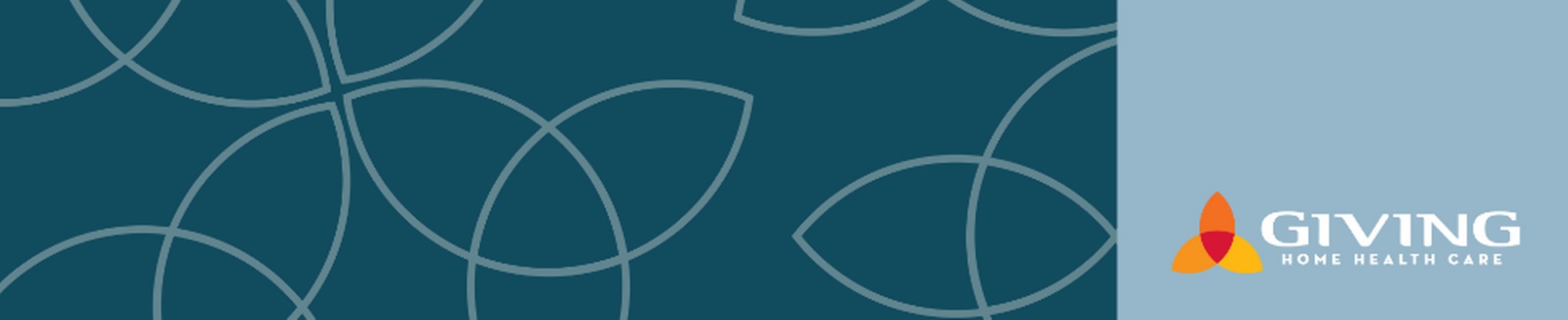 Company banner showing Visual Corporation branding