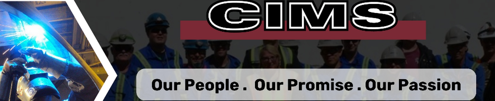 Company banner showing Visual Corporation branding